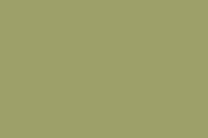 ABS Edging to match Formica Pale Olive F3007 Matte58 25m x 23mm x 1mm