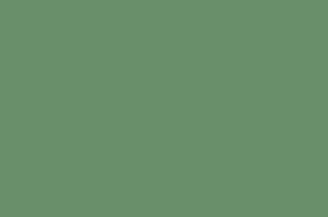 ABS Edging to match Formica Marble Green F8245 Matte58 25m x 23mm x 1mm