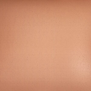 Formica Copper Black Patinated M2121 H.P. Laminate 2440x1220x1.3mm