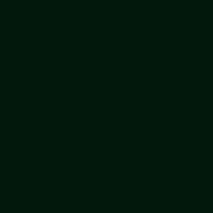 Formica Diamond Black F2253 Matte58 H.P. Laminate 3050x1300x0.8mm