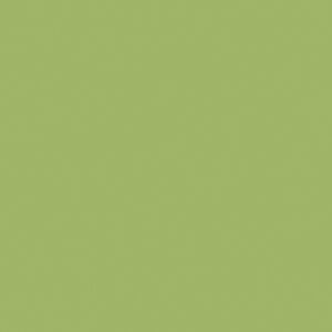 Formica Leaf Green F8820  Matte58 H.P. Laminate 3050x1300x0.8mm