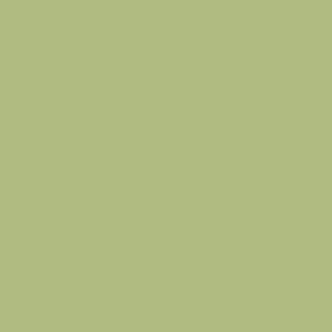 Formica Pale Olive F3007  Matte58 H.P. Laminate 3050x1300x0.8mm