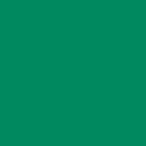 Formica Spectrum Green F7897 Matte58 H.P. Laminate 3050x1300x0.8mm