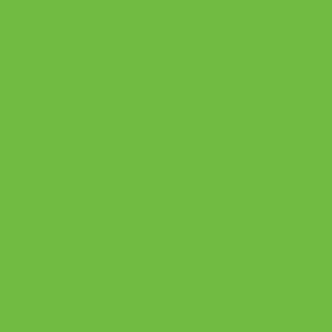 Formica Vibrant Green F6901 Matte58 H.P. Laminate 3050x1300x0.8mm