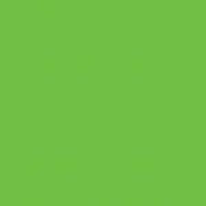 FREE SAMPLE L & P Green 009  Satin H.P. Laminate 300x210x0.7mm