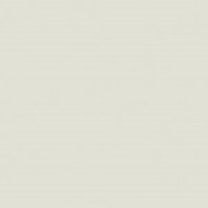 formica-silver-f2791